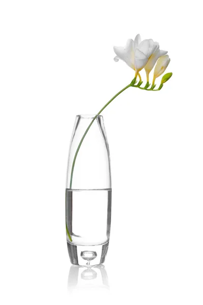 Glass vase with beautiful freesia — Stock Photo, Image