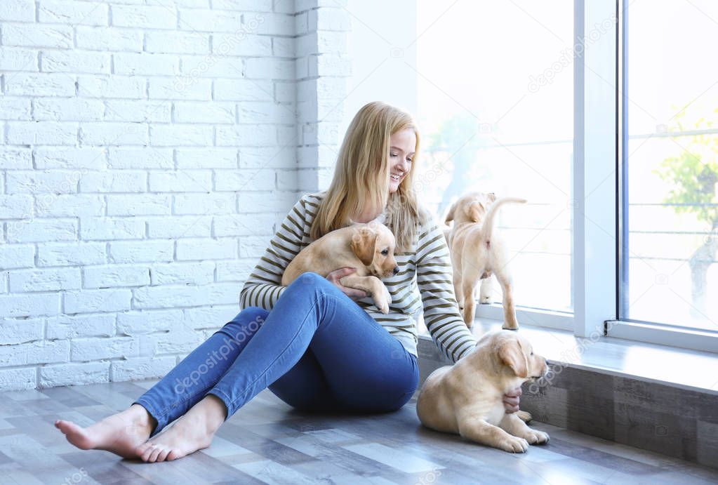 woman with labrador retriever puppies 