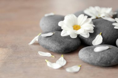 Spa taşlar ve krizantem 