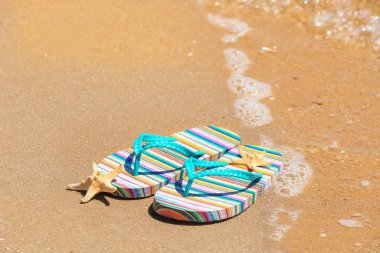 Renkli flip-flop ve deniz yıldızı