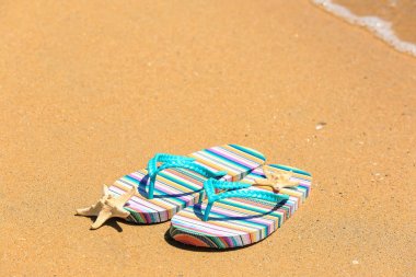 Renkli flip-flop ve deniz yıldızı