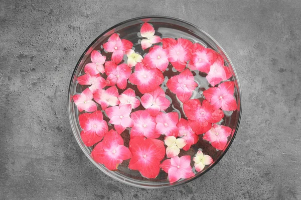 Cuenco con flores de agua y hortensia — Foto de Stock