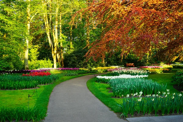 Beautiful spring landscape — Stock Photo, Image