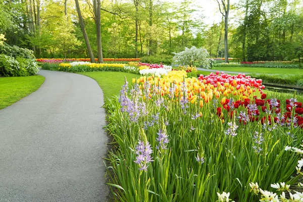 alley with blooming flowers