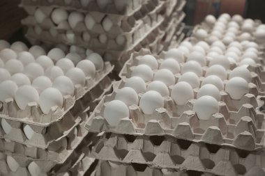 Tavuk yumurtası ile tepsiler 