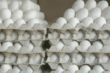 Tavuk yumurtası ile tepsiler 