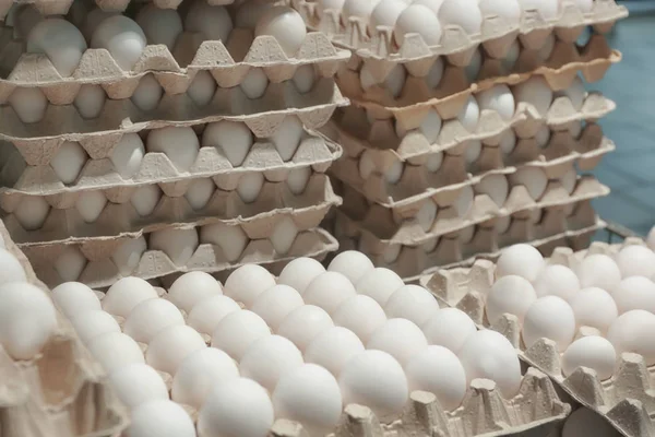 Tálcák és az csirke tojás — Stock Fotó