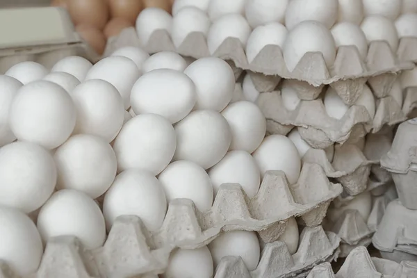 Bandejas con huevos de pollo — Foto de Stock