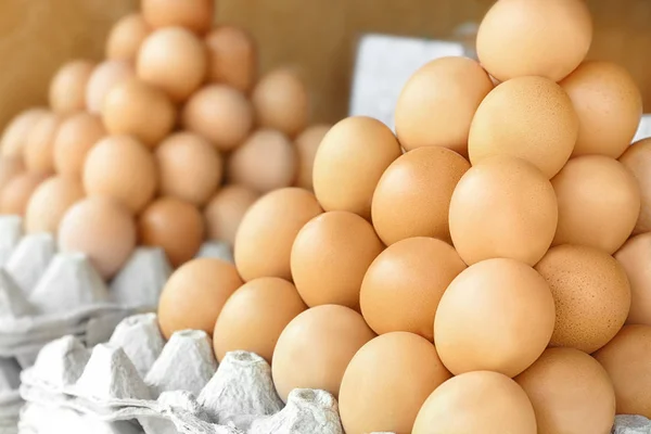 Trays with chicken eggs — Stock Photo, Image