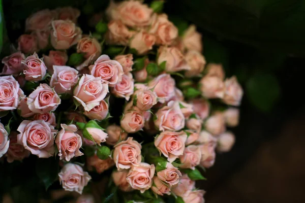 Barevné kvetoucí kytice — Stock fotografie