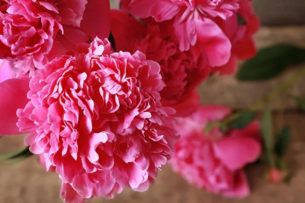 Vista da vicino dei fiori di peonia su sfondo sfocato — Foto Stock