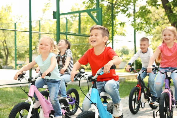 Enfants mignons à vélo dans le parc le jour ensoleillé — Photo