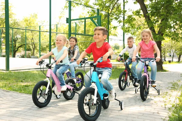 Enfants mignons à vélo dans le parc le jour ensoleillé — Photo