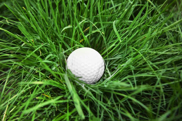 Balle de golf sur herbe verte — Photo