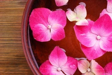 Su ve HORTENSIA çiçeklerle kase