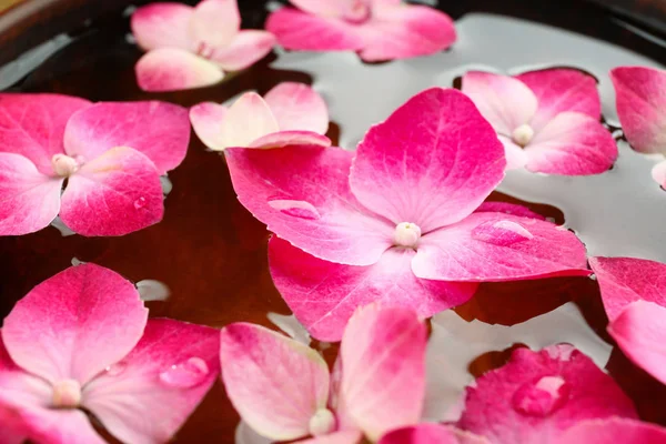 Bol avec eau et fleurs — Photo