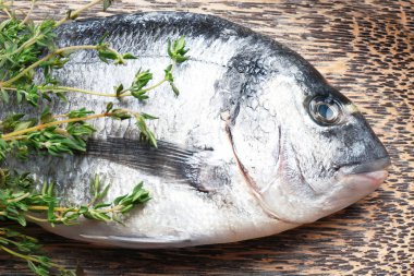 taze dorado balığı