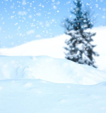 Bulanık kış manzarası