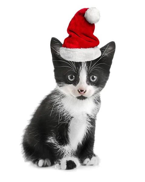 Chaton en chapeau de Père Noël — Photo