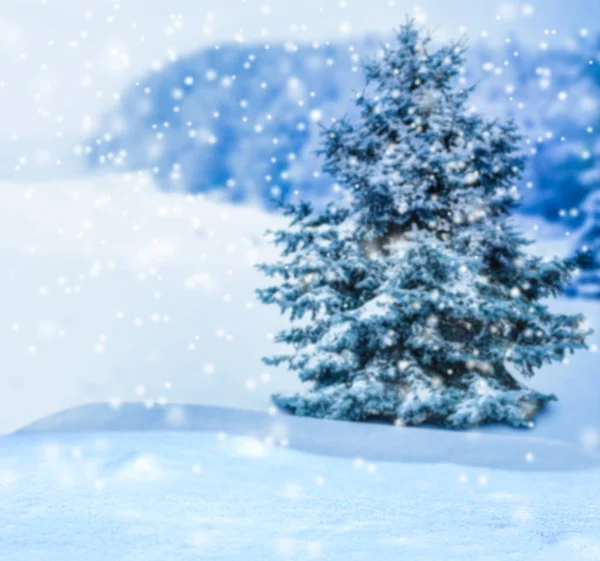 Bulanık kış manzarası — Stok fotoğraf
