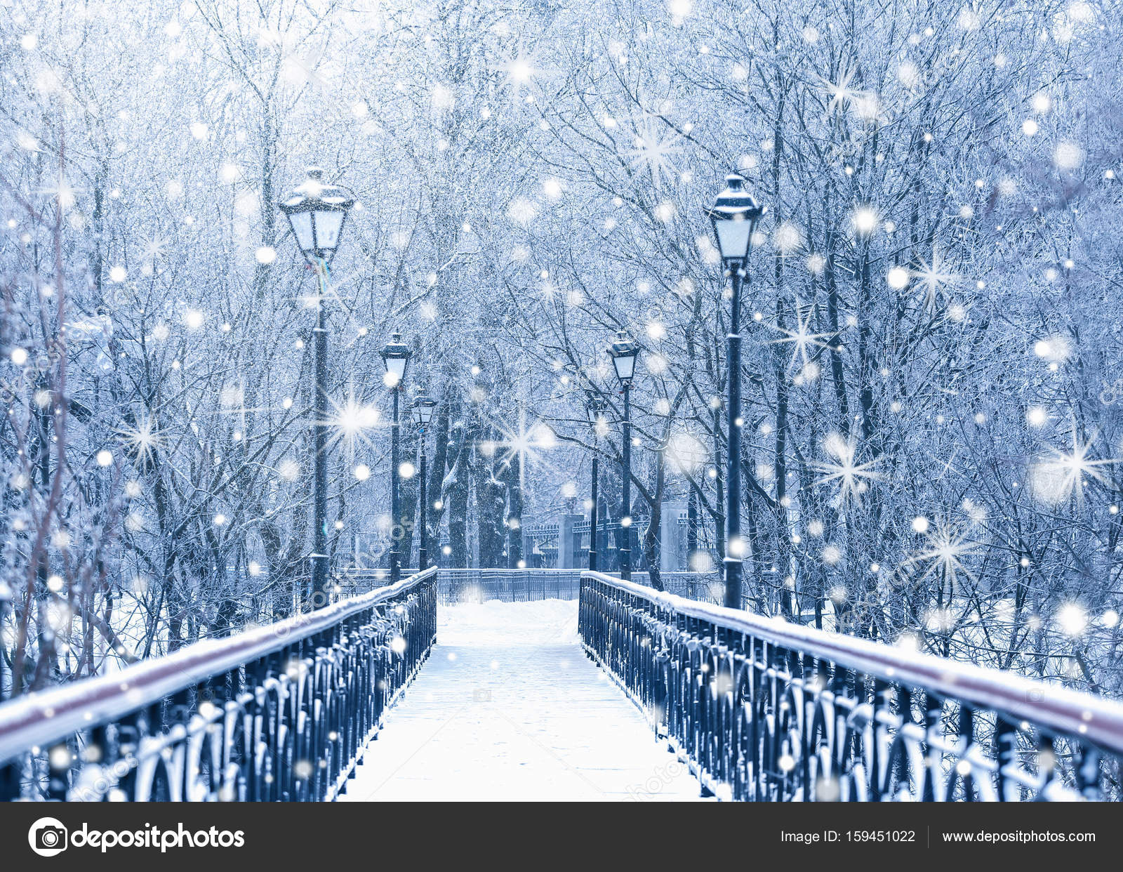 Beautiful bridge in winter park. Stock Photo by ©belchonock 159451022