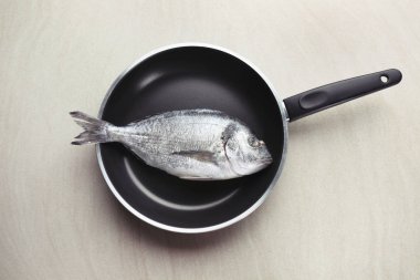 taze dorado balığı