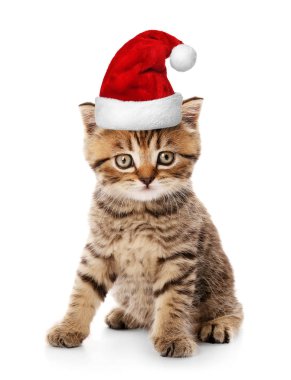 kitten in Santa hat clipart