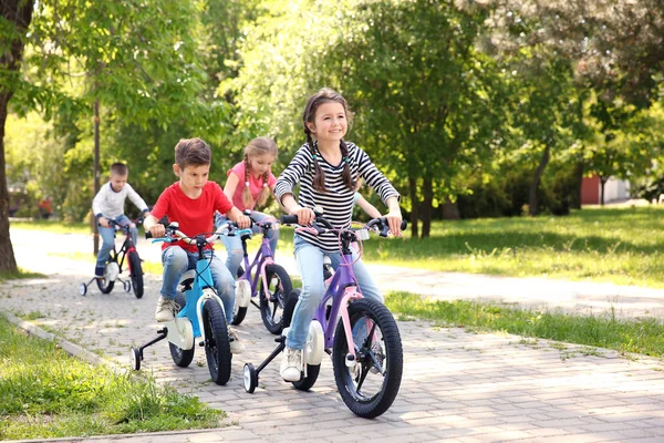 Милые Дети Катаются Велосипедах Парке Солнечный День — стоковое фото