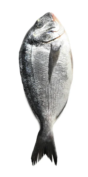 多拉多的新鲜鱼 — 图库照片