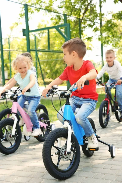 Enfants Mignons Vélo Dans Parc Jour Ensoleillé — Photo