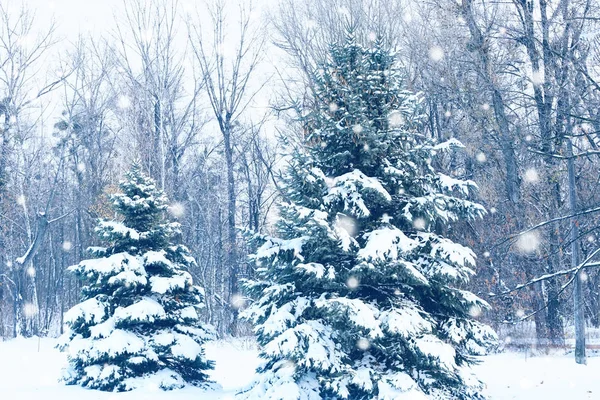 Vista del paisaje invernal — Foto de Stock