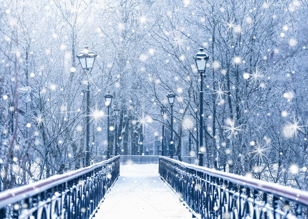 Beautiful bridge in winter park. 