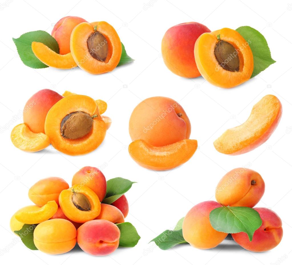 Set of delicious apricots