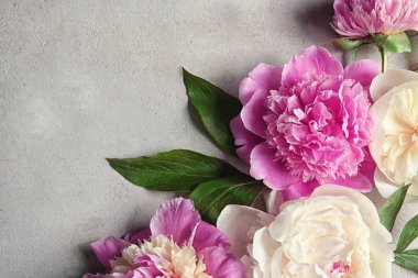 Hafif dokulu arka plan, closeup güzel Şakayık çiçekleri ile kompozisyon