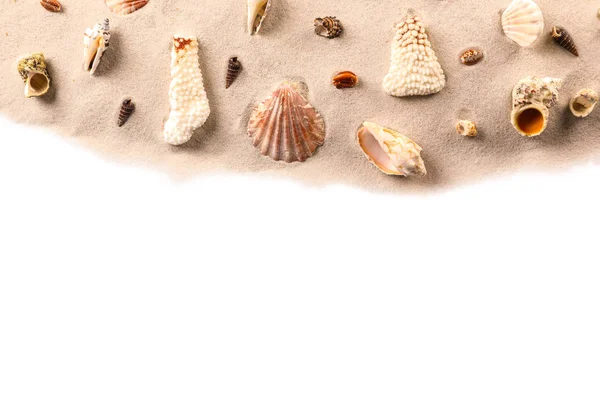Farklı kabukları ile kum — Stok fotoğraf