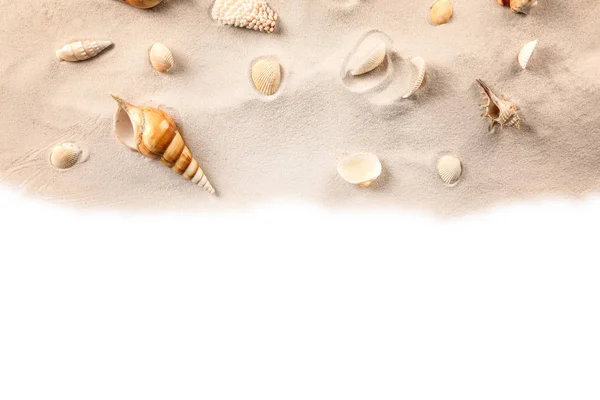 Sand with different shells — Stock Photo, Image