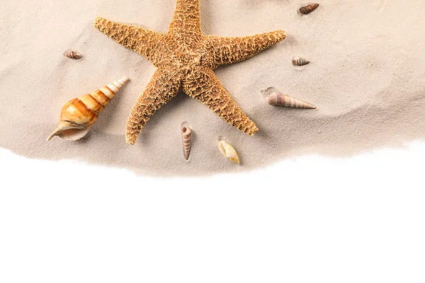 Sand with different shells — Stock Photo, Image