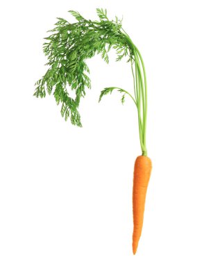 beyaz üzerine taze havuç  