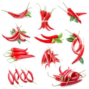 Biber beyaz üzerine kolaj  