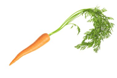 beyaz üzerine taze havuç  