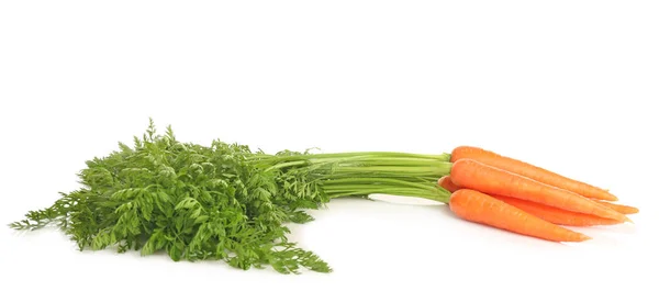 Zanahorias frescas sobre blanco — Foto de Stock