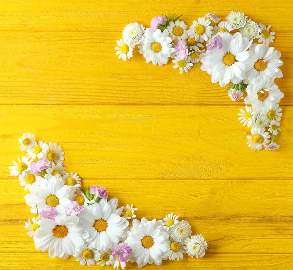 Schöne florale Komposition mit Kamillenblüten — Stockfoto