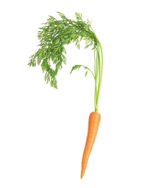 Zanahoria fresca sobre blanco —  Fotos de Stock