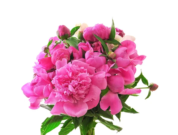 Beyaz güzel Şakayık çiçekleri  