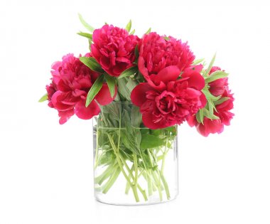 Güzel kokulu peonies vazo 