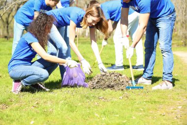 Grup Gönüllü Parkı içinde