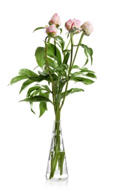 Cam vazo güzel peonies ile 