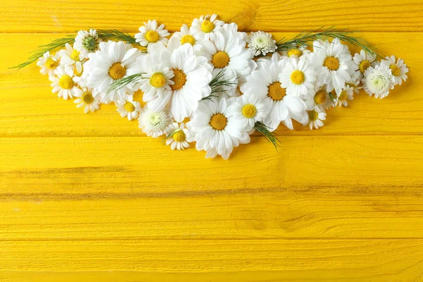 Hermosa composición floral con flores de manzanilla — Foto de Stock