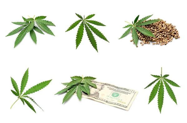 Collage of weed leaves