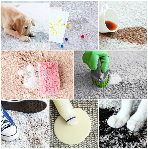 Different types of dirt on carpet. — Stock Photo, Image